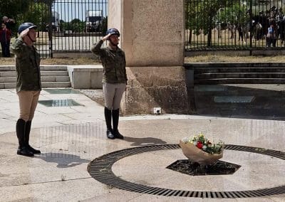 Homenaje a los caídos en la Batalla de Talavera