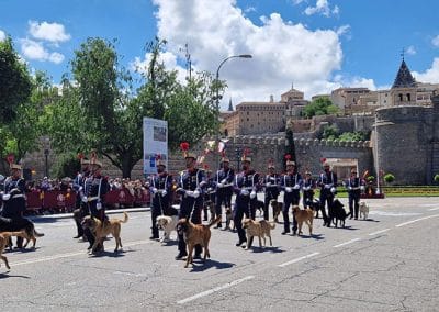 La Sección de Guías Caninos en la calle del Cardenal Tavera
